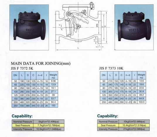 船用日標鑄鐵擺式止回閥JIS F7372 F7373(圖1)
