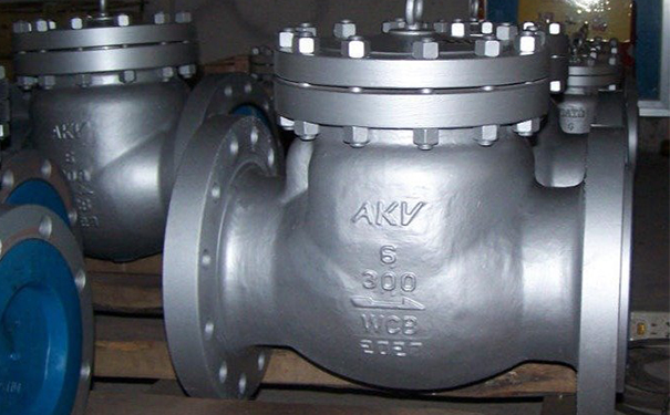 美標止回閥H44H/H44W實物圖2 美標止回閥H44H/H44W實物圖